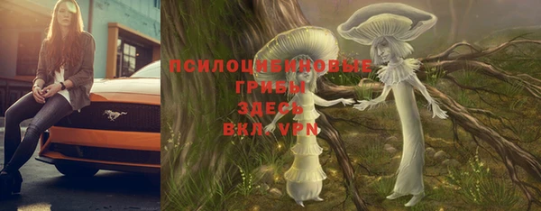 гидропоника Белоозёрский