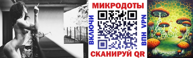 Галлюциногенные грибы Psilocybe Красноперекопск